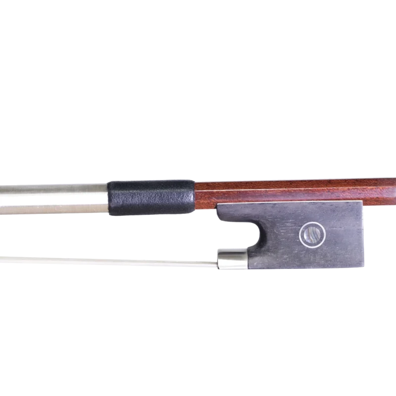 BVN-P2