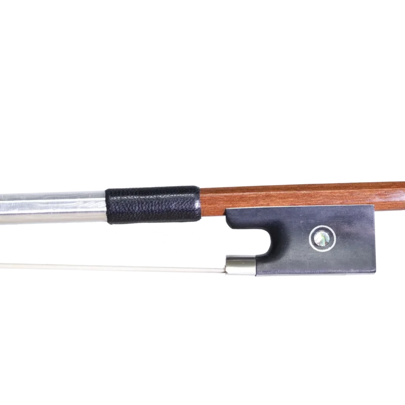 BVN-S1