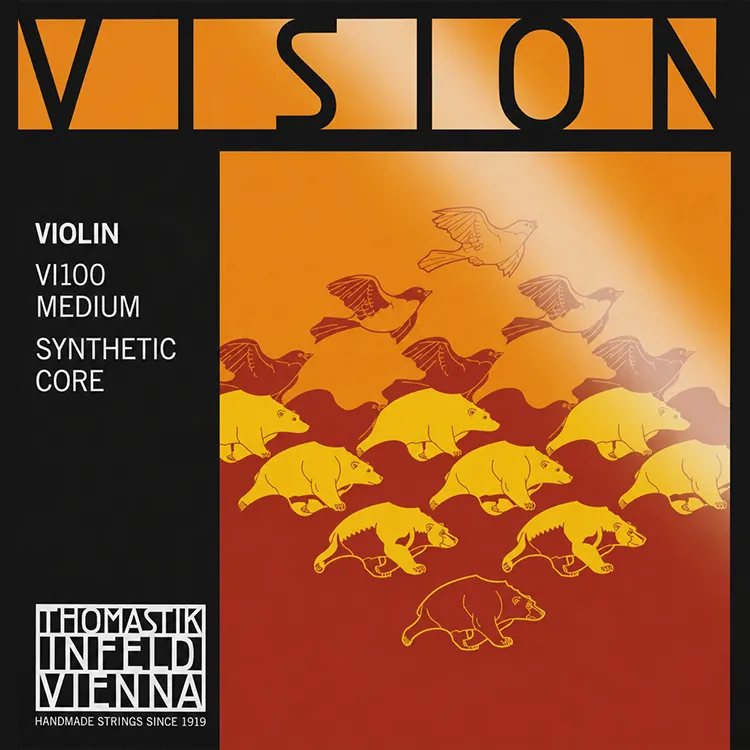 Vision Violin Set / 4/4 / VI100